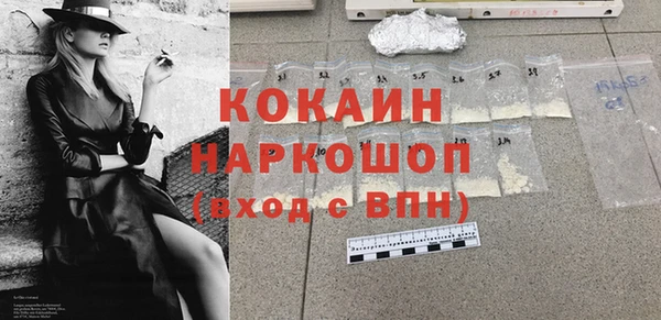 шишки Аркадак
