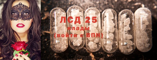 шишки Аркадак