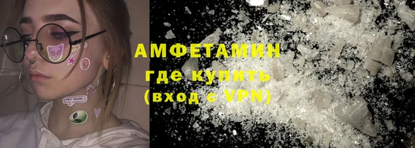шишки Аркадак