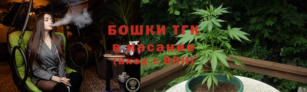 шишки Аркадак