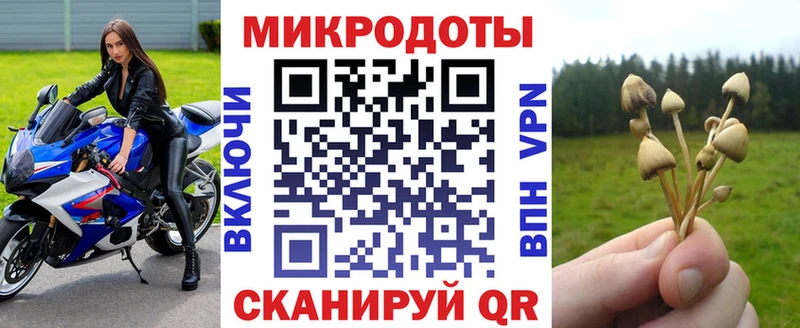 Псилоцибиновые грибы мухоморы  кракен как войти  Похвистнево 